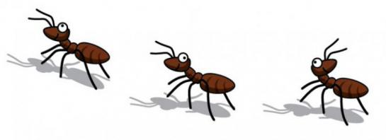 Прогулка с ребенком "тропою муравья".